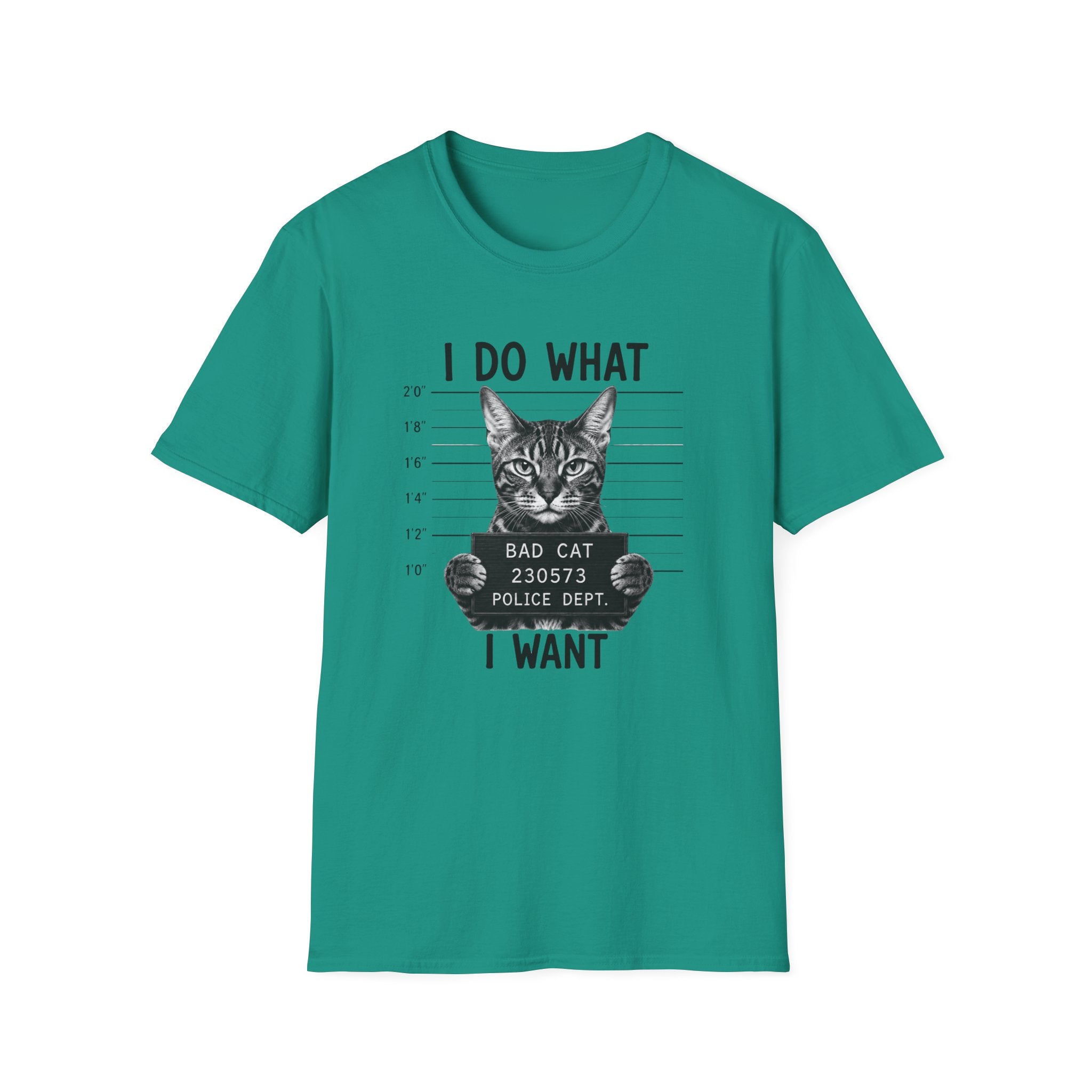 I Do What I Wont 2 T-Shirt
