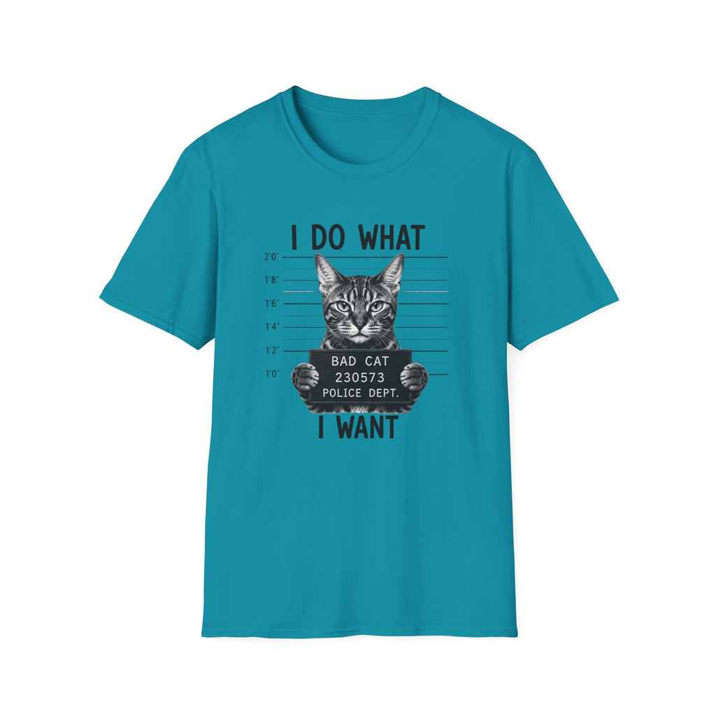I Do What I Wont 2 T-Shirt