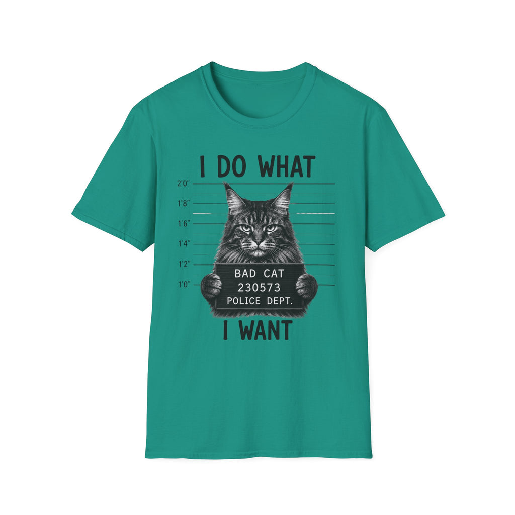 I Do What I Wont  T-Shirt
