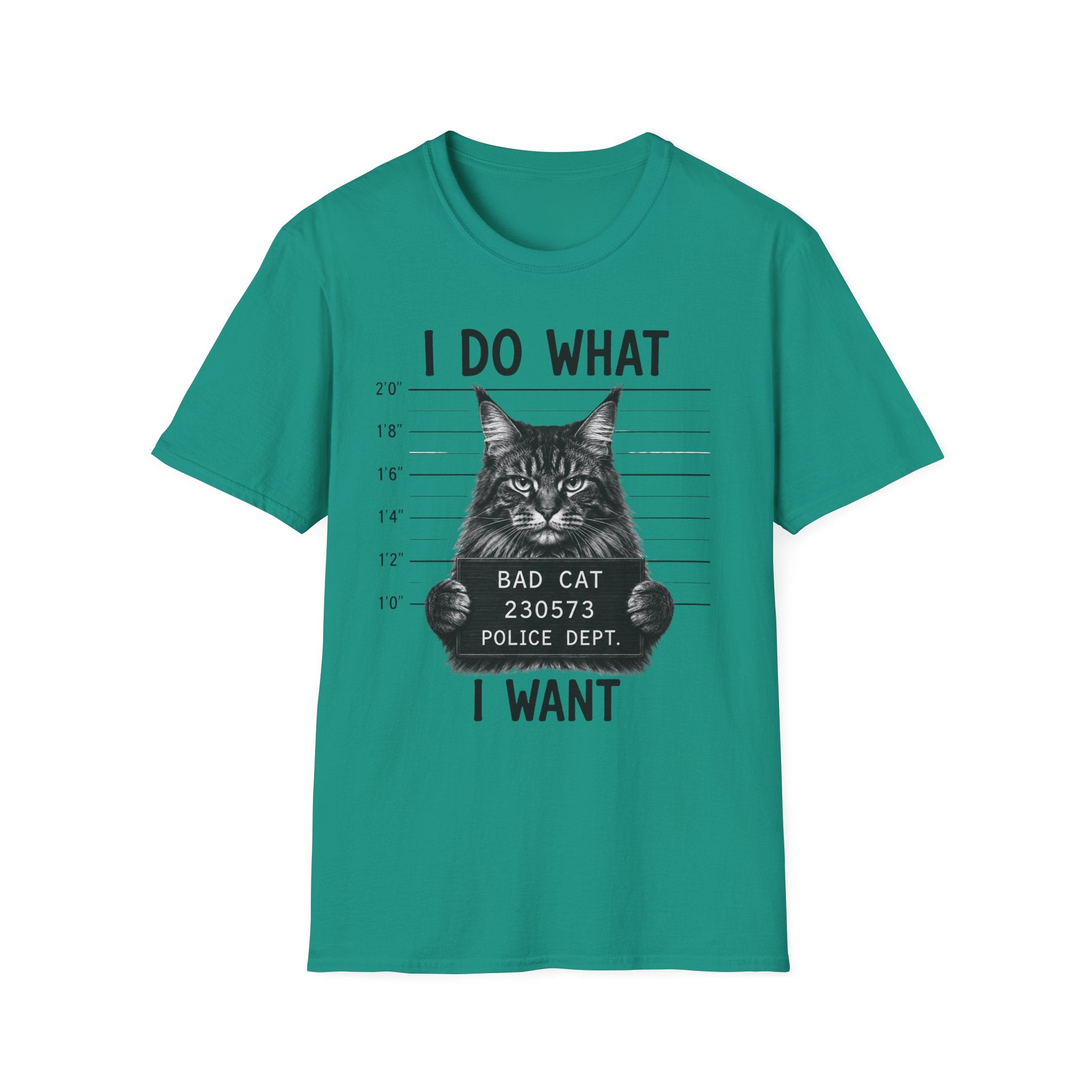 I Do What I Wont  T-Shirt