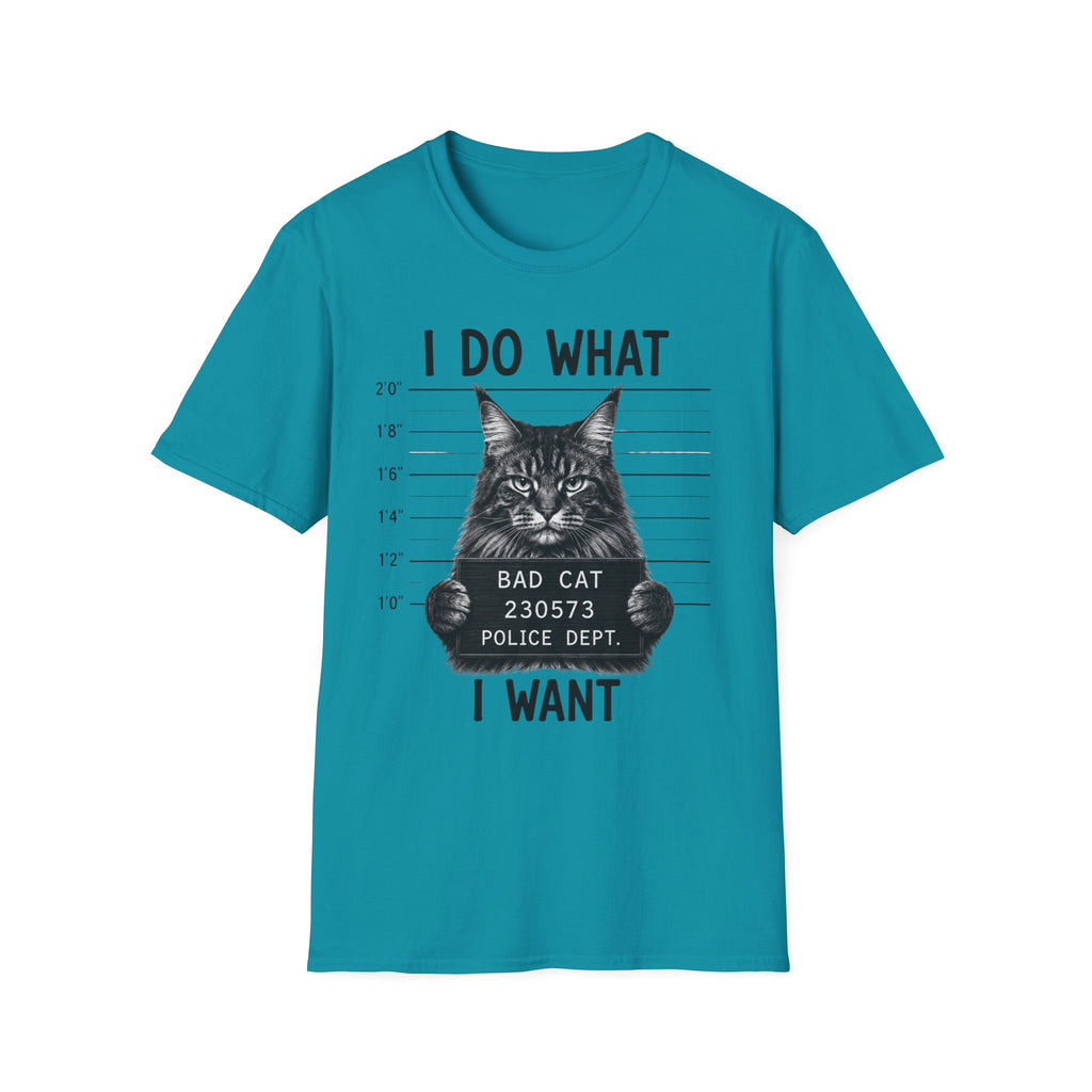 I Do What I Wont  T-Shirt